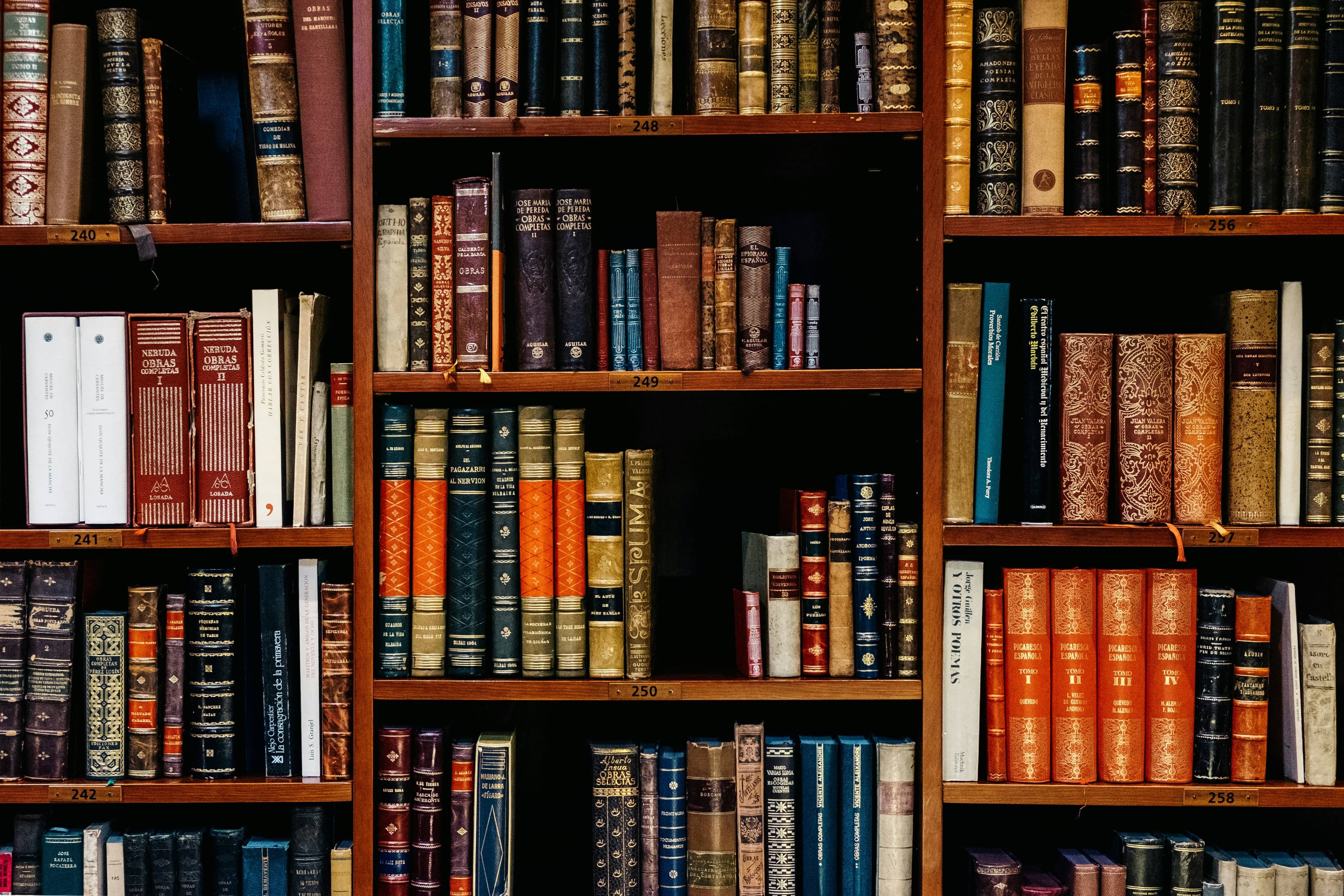 Understanding Your Rights in Criminal Defense Cases